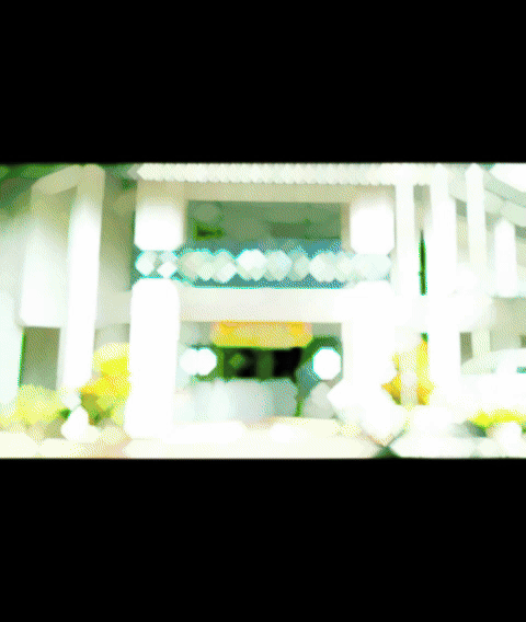 GIF Image